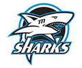 Riverview Sharks