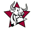 Wiregrass Ranch Bulls